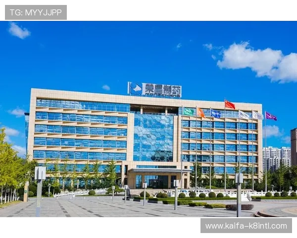 凯发集团网页版登录不上的常见问题及其专业解决方案推荐